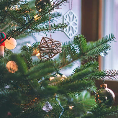 分享机场 | 3月28日23M/S|免费SSR节点/Shadowrocket节点/Trojan节点/V2ray节点/Clash节点/Singbox节点节点推荐，在线Clash机场梯子购买推荐