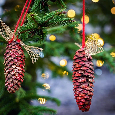 分享机场 | 2月28日21.2M/S|免费Trojan节点/Singbox节点/V2ray节点/Clash节点/SSR节点/Shadowrocket节点节点推荐，在线Clash机场梯子购买推荐