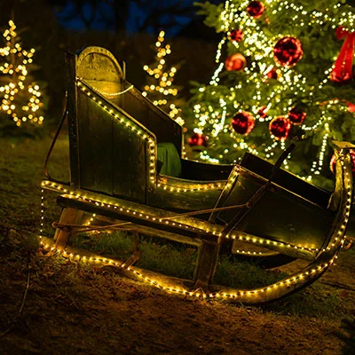 分享机场 | 2月24日21.7M/S|免费Trojan节点/Shadowrocket节点/SSR节点/V2ray节点/Singbox节点/Clash节点节点推荐，在线Clash机场梯子购买推荐