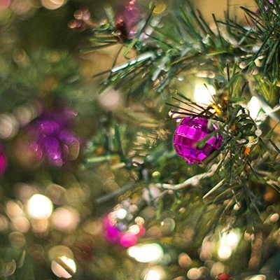 分享机场 | 2月21日20M/S|免费Trojan节点/Singbox节点/V2ray节点/Shadowrocket节点/Clash节点/SSR节点节点推荐，在线Clash机场梯子购买推荐